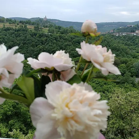 アパート Dervent ヴェリコ・タルノヴォ